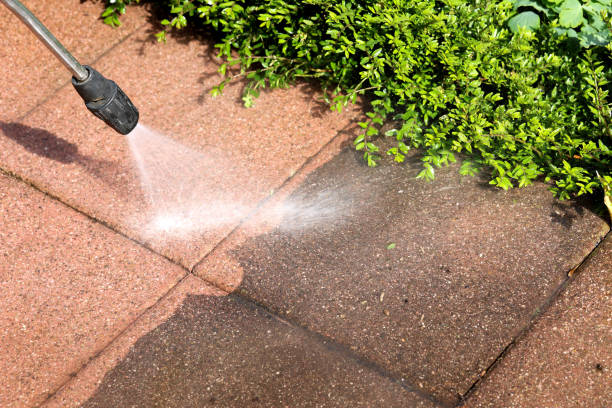 Best Affordable Power Washing  in Norwood, PA