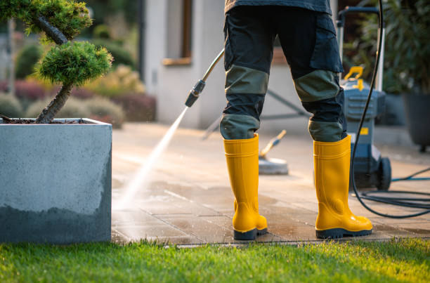 Best Best Pressure Washing Companies  in Norwood, PA